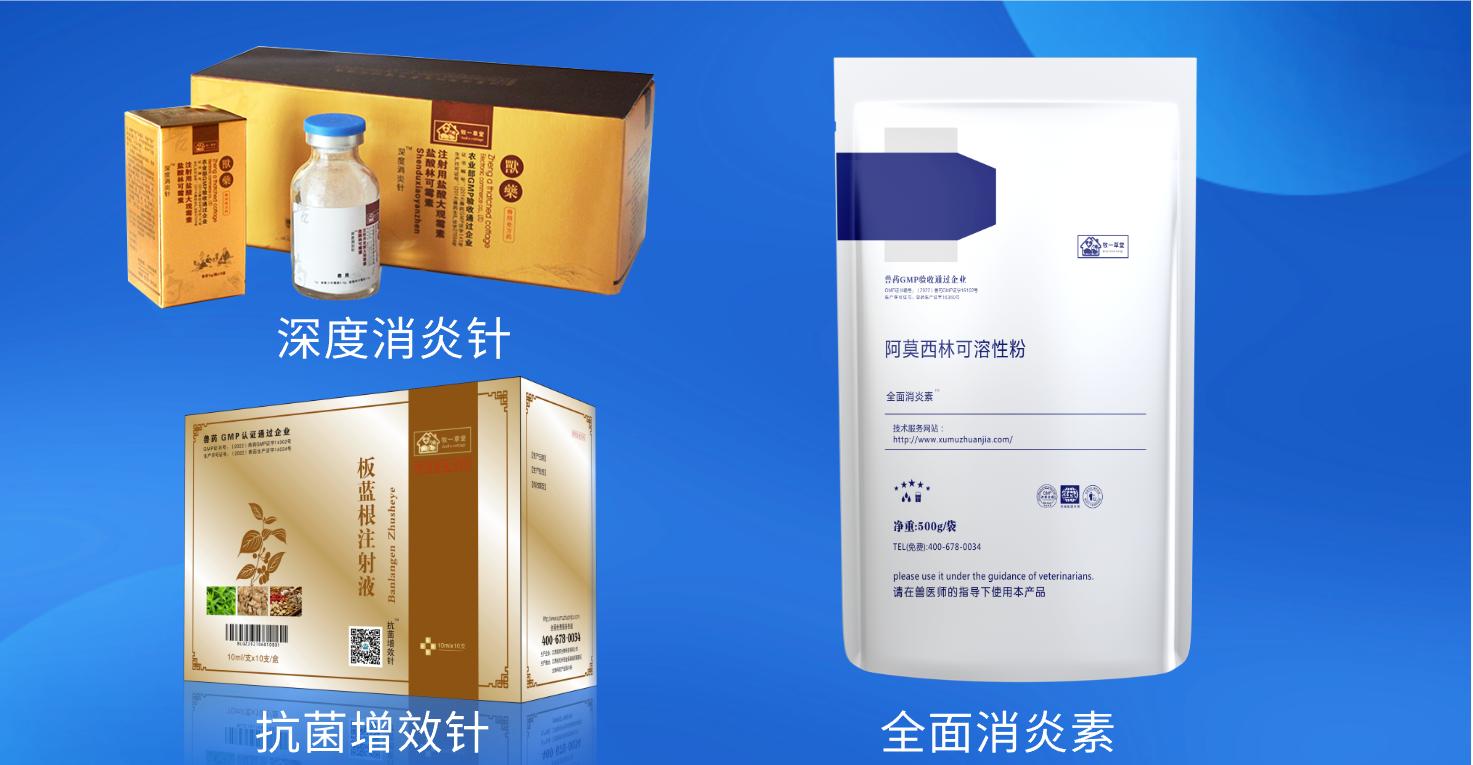 全面了解母猪乳房炎:预防和治疗方法,让你的母猪健康产仔!