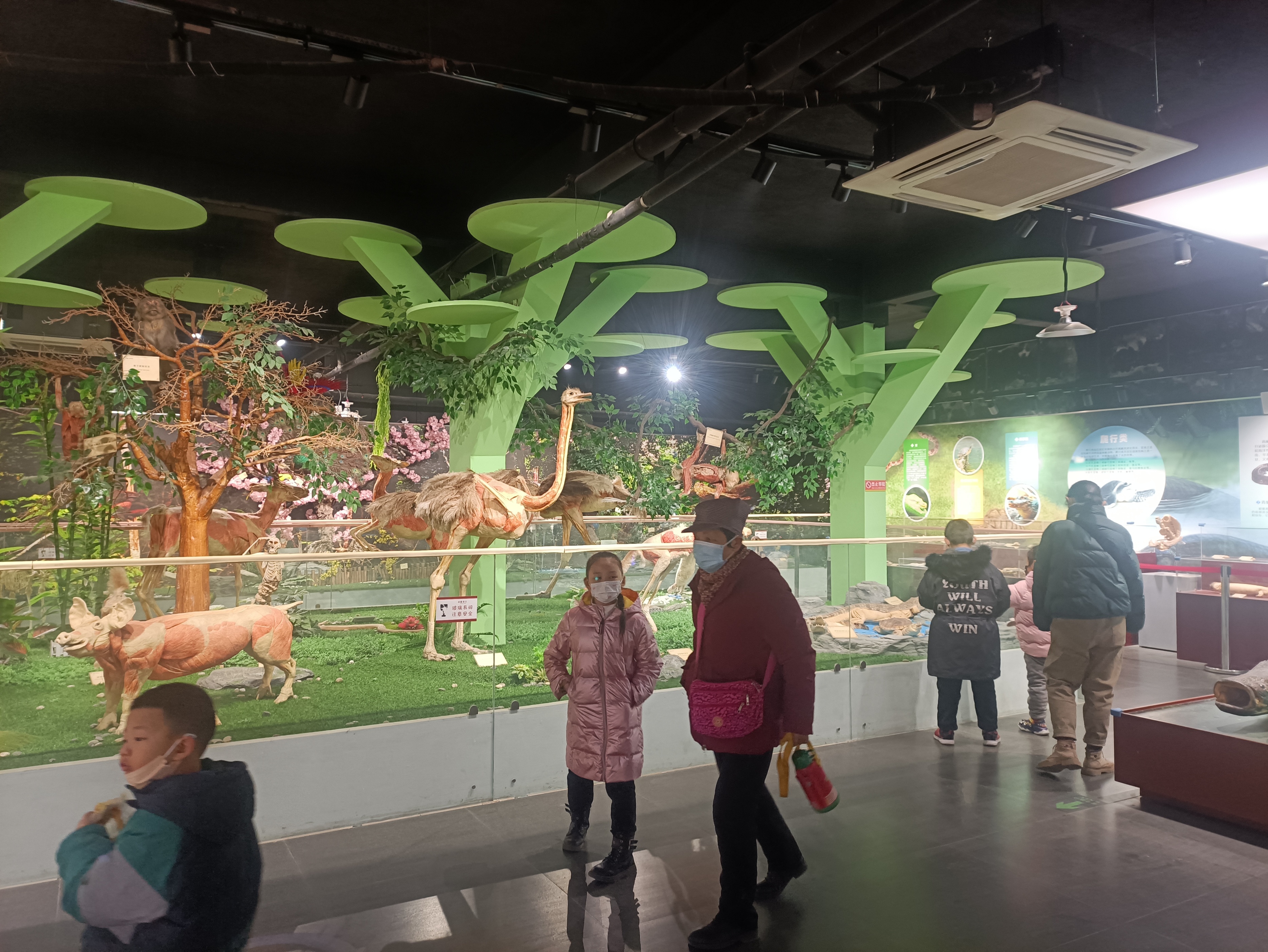 閮戝窞鍛ㄨ竟閫傚悎鏄ュぉ鍘荤殑鍦版柟,閮戝窞鏄ュぉ鏈夊摢浜涘ソ鐜╃殑鍦版柟