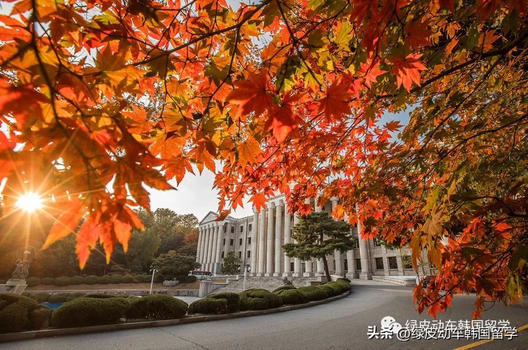 去韩国留学必须知道的事项,去韩国留学前一定要知道的14件事