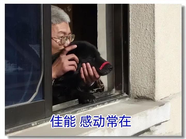 小学生笑话段子爆笑大全,每日精选笑话段子来一波让人爆笑