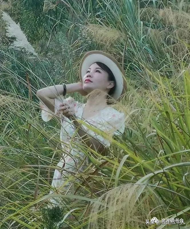 朝颜的散文,朝颜散文