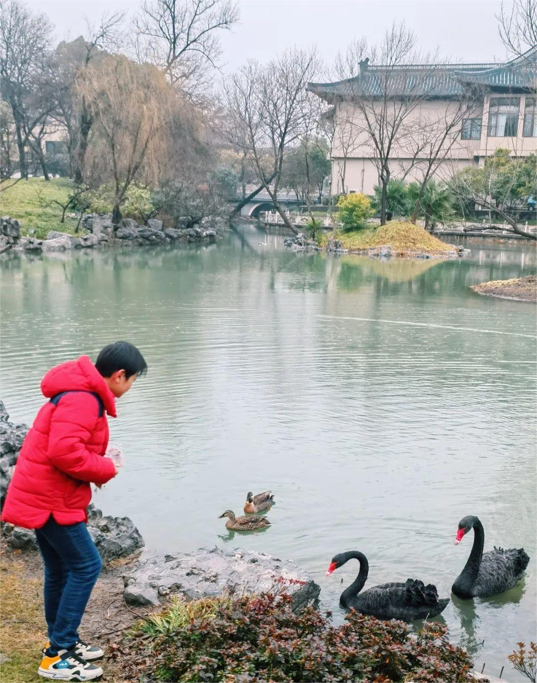 睡过这家国宾馆的新楼，我们全家都愁了……