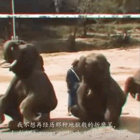 全网最近大事件,最大丑闻案件