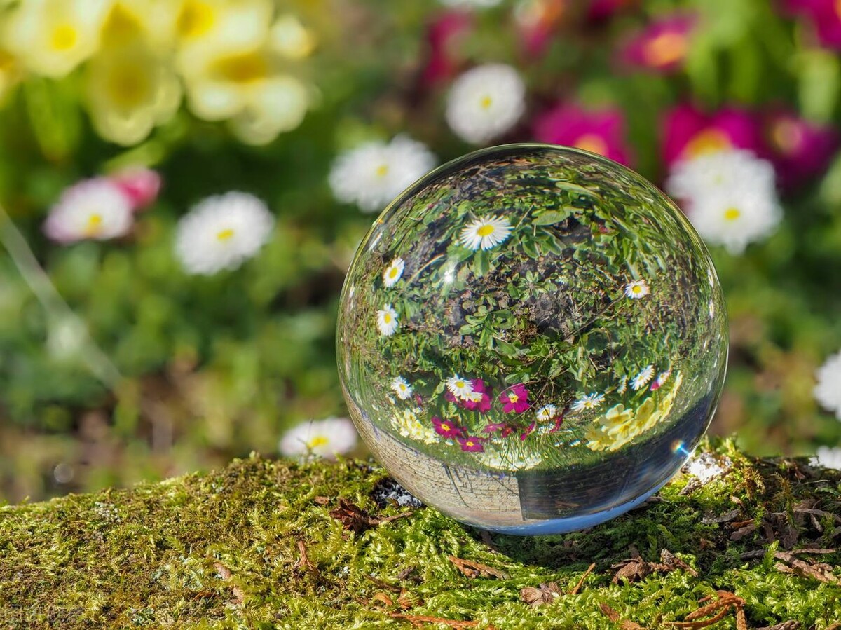 俗话说“日子好不好，家中五物带两宝”，5物2宝都指啥？什么说法