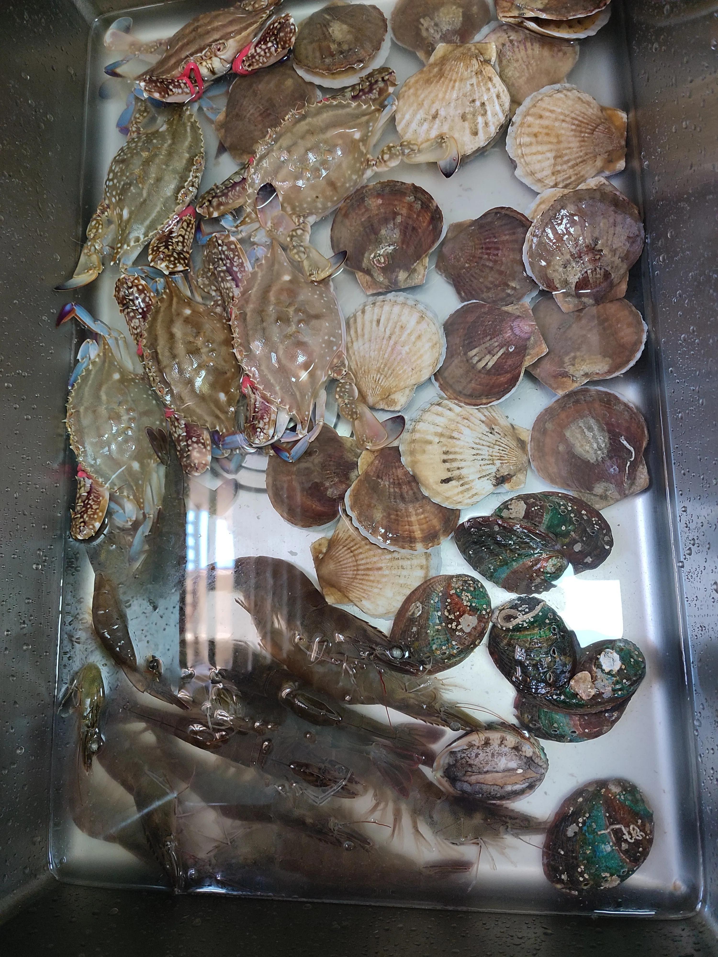 花屿海东戴河,东戴河花屿海户型图