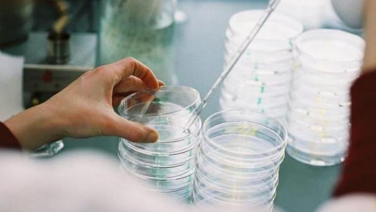 科学家复活潘多拉病毒 (人们为什么要复活潘多拉病毒)