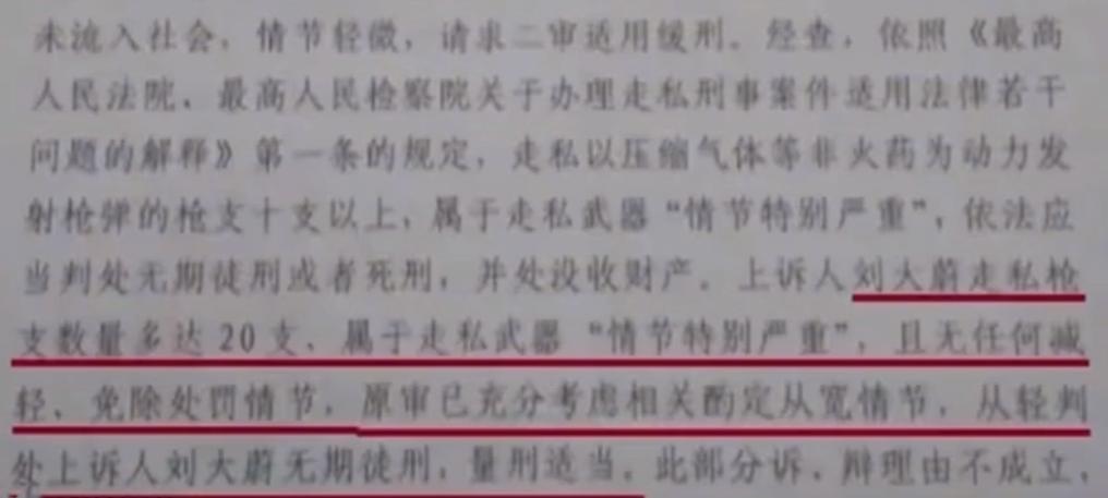 玩具枪被认定为枪支获刑14年 (网络买卖枪支案判刑)