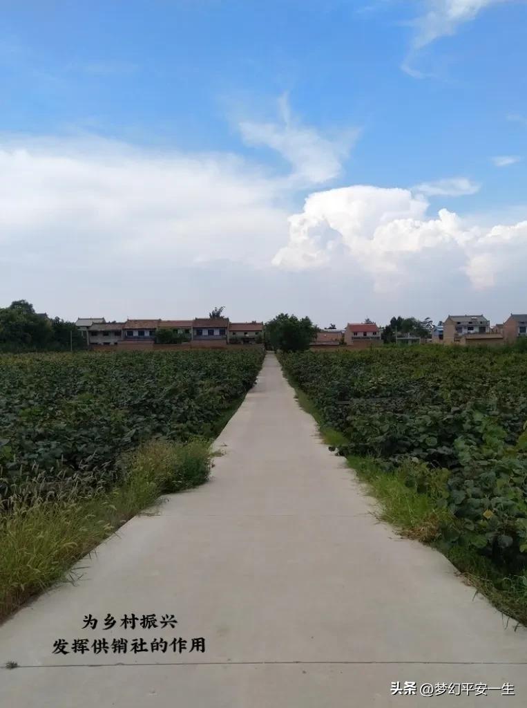 供销社出路,供销社的经历和感受