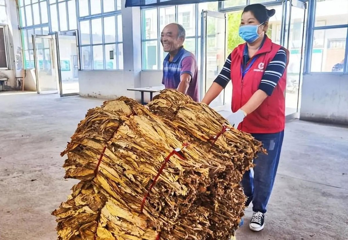 782万的雪茄是什么牌子,一支烟比一套房还贵