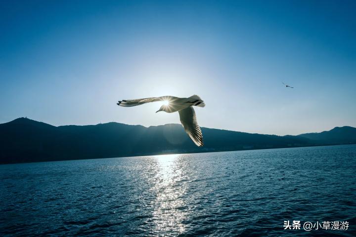 云南省必去的10个地方推荐一下,云南和海南哪个更值得去旅行