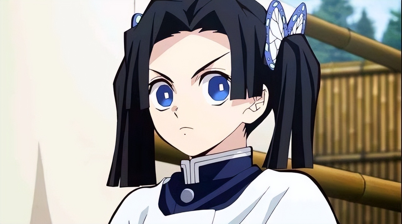 鬼灭之刃蝴蝶姐妹图片,鬼灭之刃蝴蝶忍姐妹