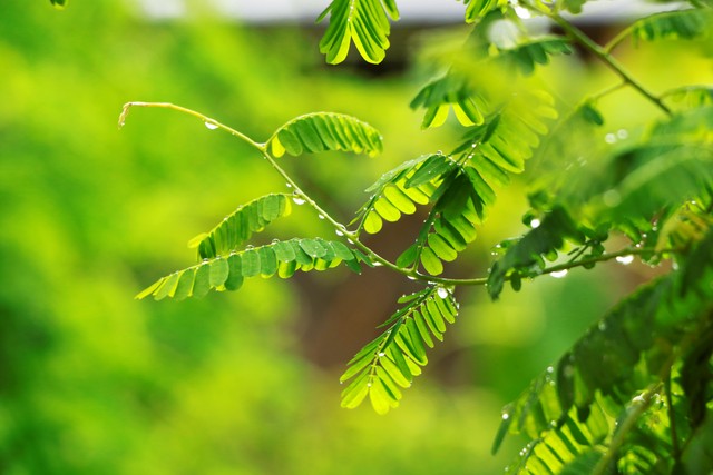 抗病毒10年乙肝治好了,乙肝抗病毒10年以上长期随访结果