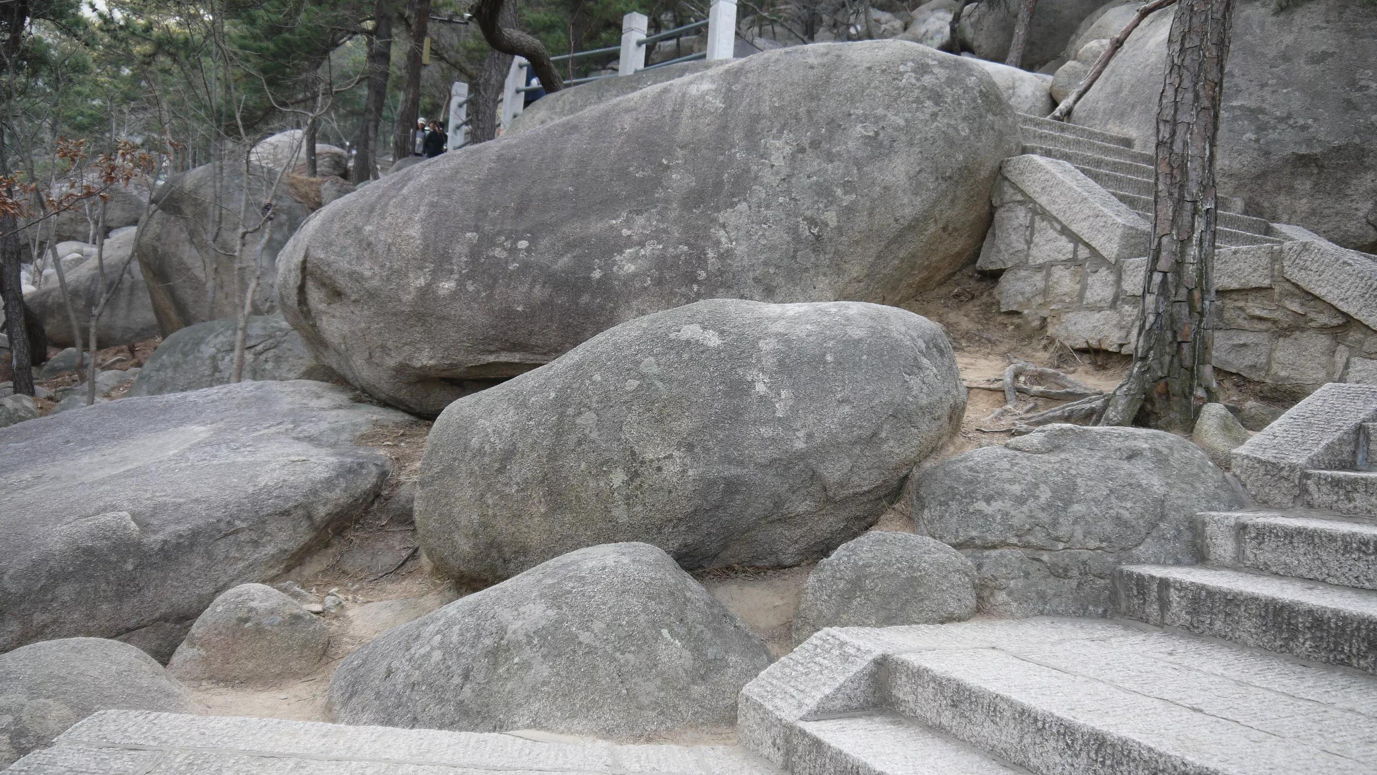 闈掑矝宕傚北浠板彛绱㈤亾,闈掑矝宕傚北浠板彛璧舵捣