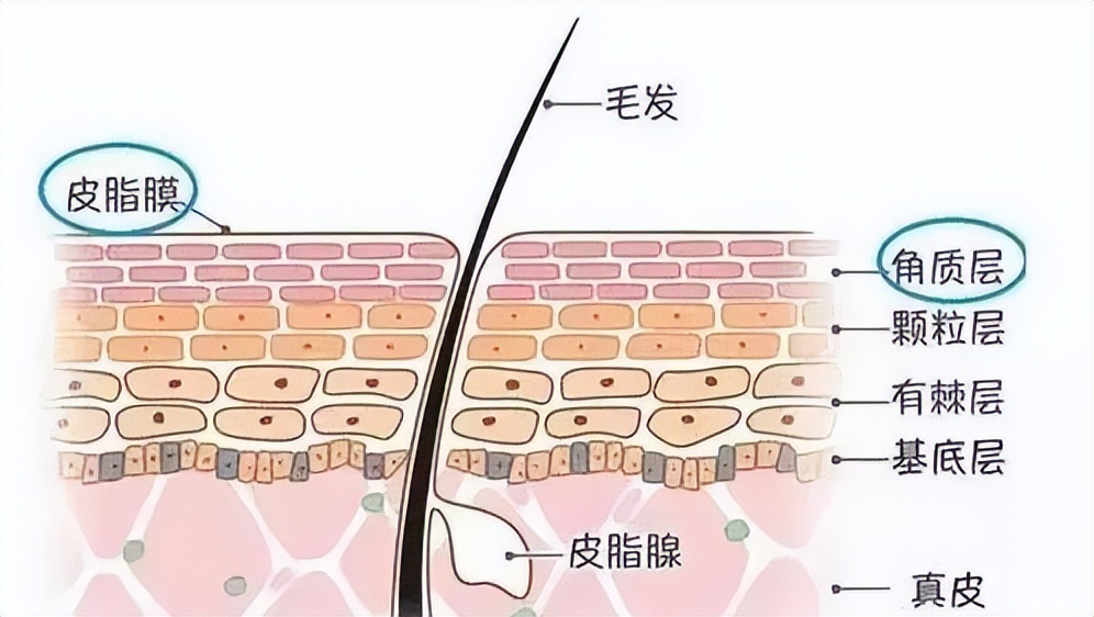 爱干净是好事还是坏事,爱干净的好处和坏处