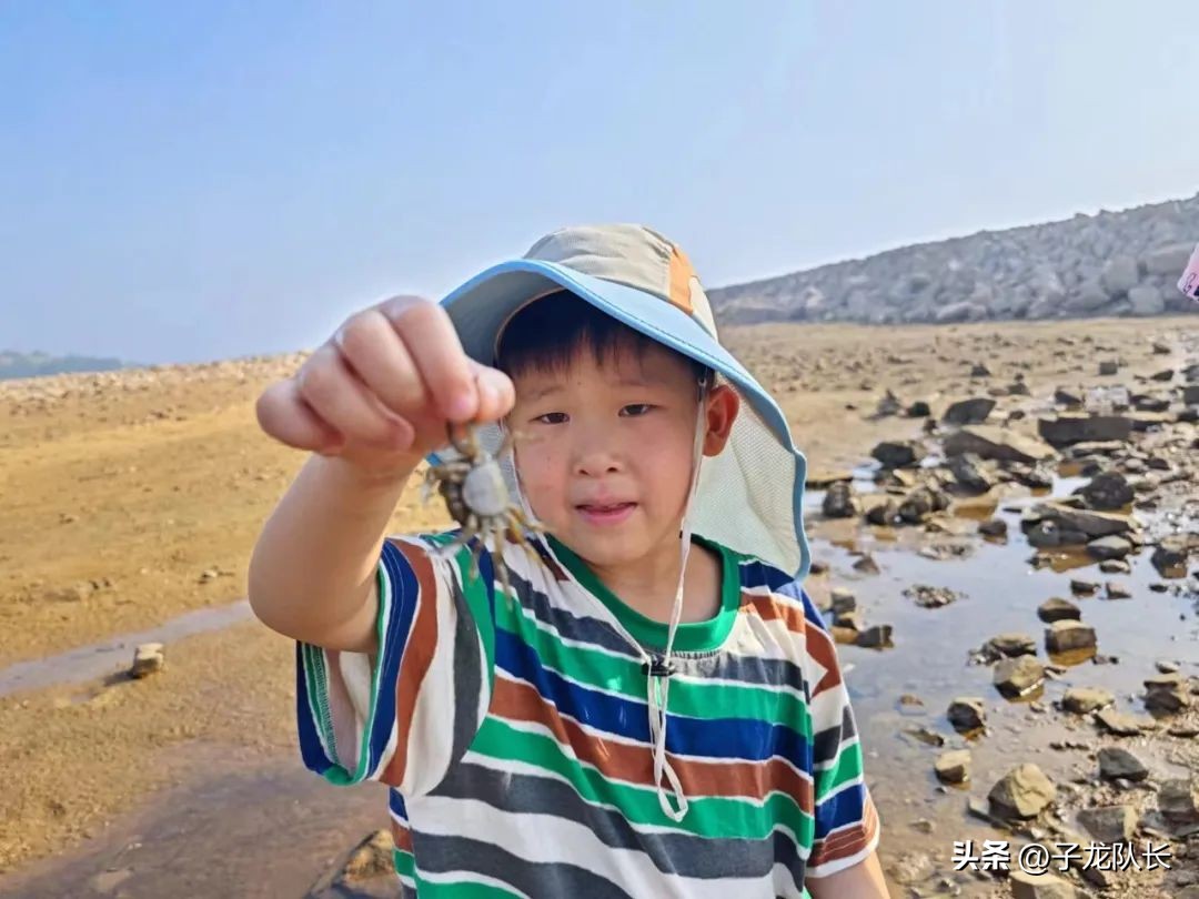 威海到青岛之间哪个地方赶海最好,青岛海边哪个海滩最好玩适合赶海