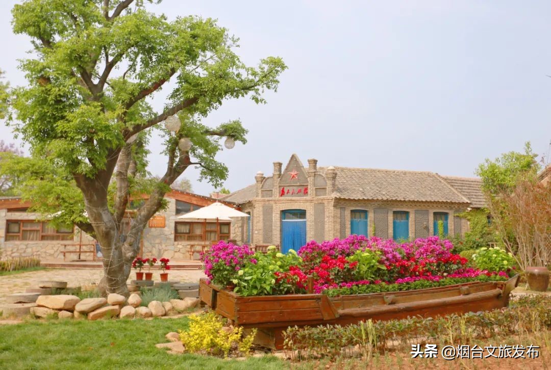 长岛一日免费游,520景点免费