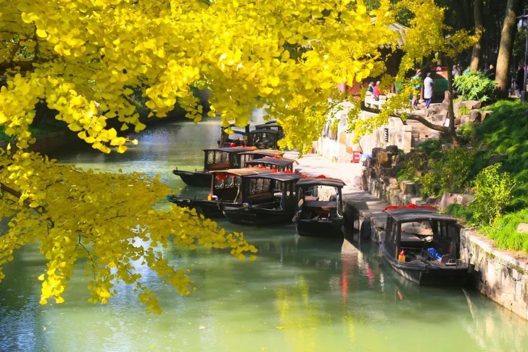 苏州一个新的人间天堂,东方威尼斯苏州视频