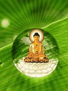 农历十一月十七日阿弥陀佛圣诞日,冬月十七日恭迎阿弥陀佛圣诞