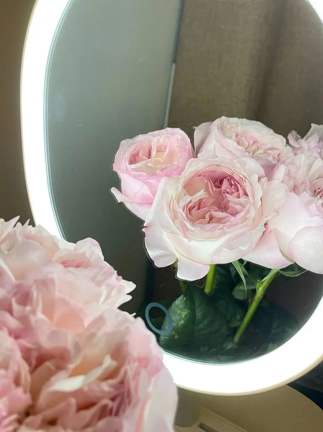 鲜花在水里能养几天会死,新加坡盆栽花卉怎么养