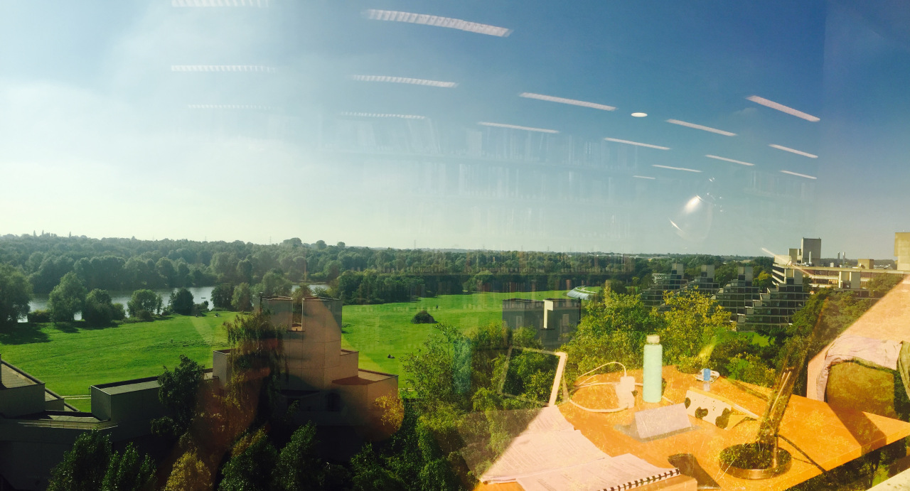 英国东英吉利大学24年世界排名,东英吉利大学世界大学