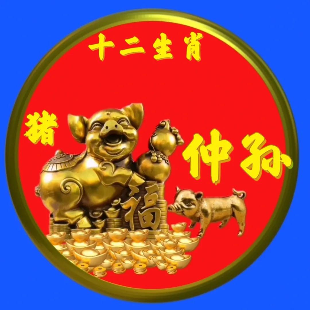 12生肖猪的姓氏头像,十二生肖猪姓氏头像壁纸