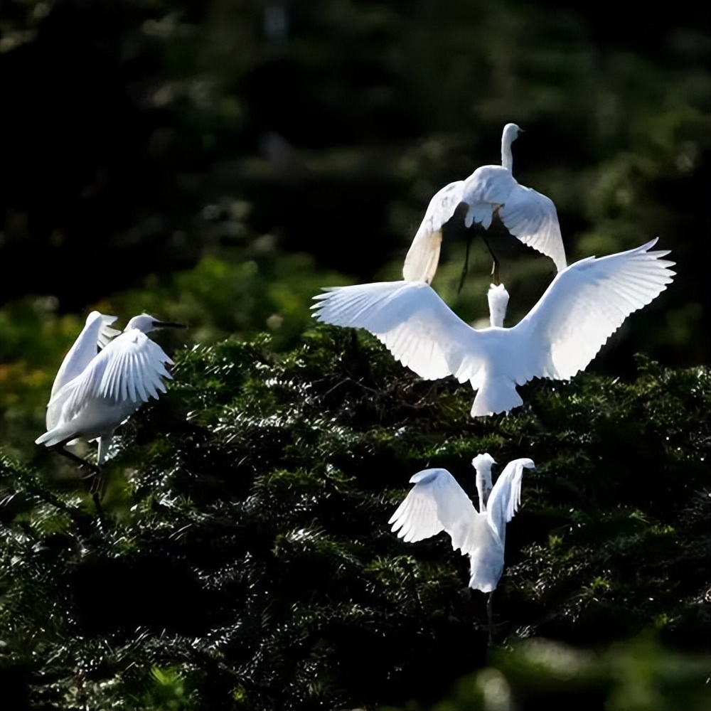 衡阳适合年轻人旅游的地方,衡阳适合年轻人玩的地方