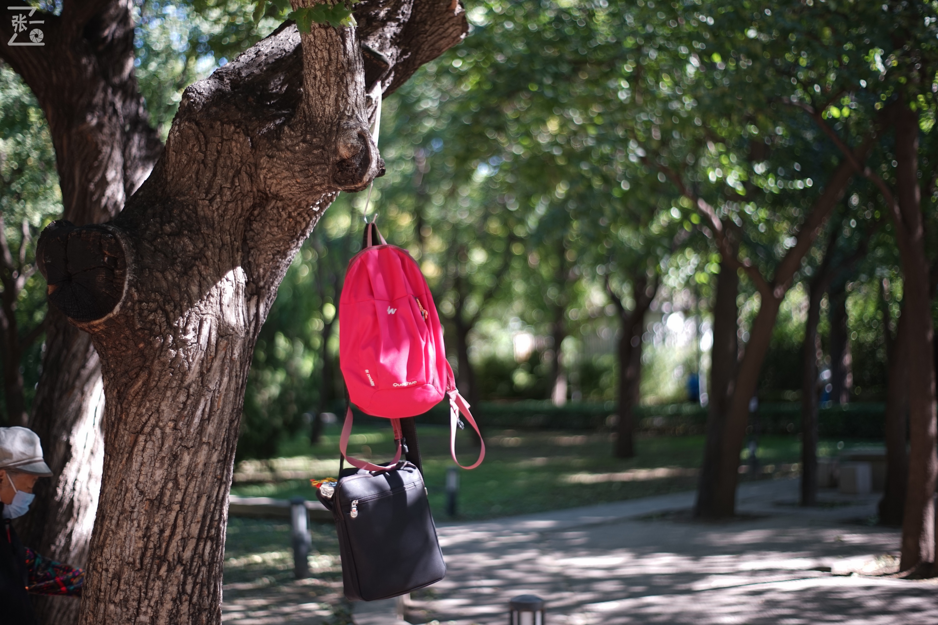 老镜头实拍,老镜头拍北京