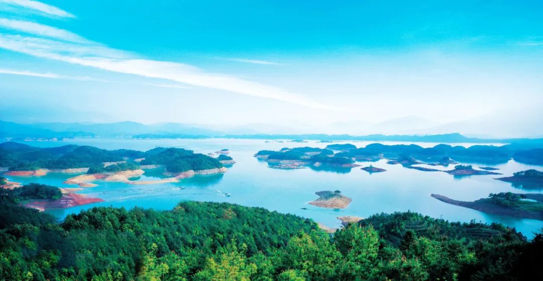 到咸宁看国宝过大年,离家45年的国宝回湖北咸宁过年