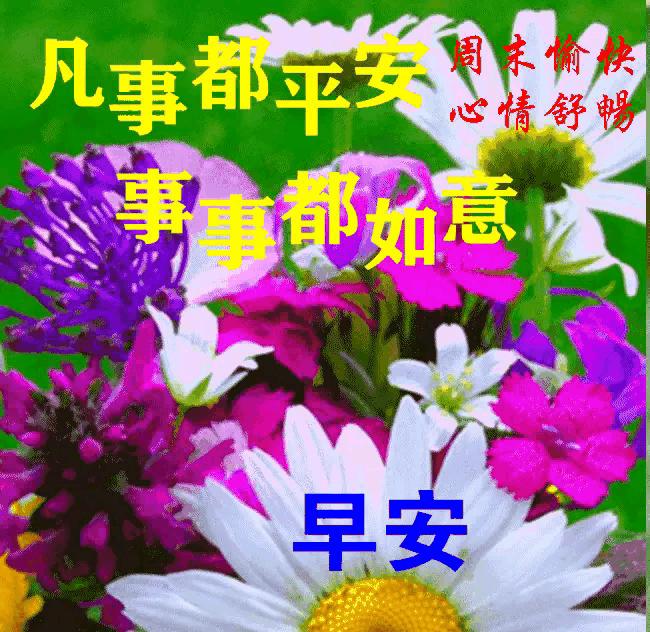 早安心语淡定从容悠然自得,简简单单平平淡淡的早安心语