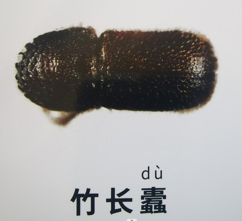 警惕潜伏在孩子身边的危险玩具,小孩抱熊娃娃睡觉的危害