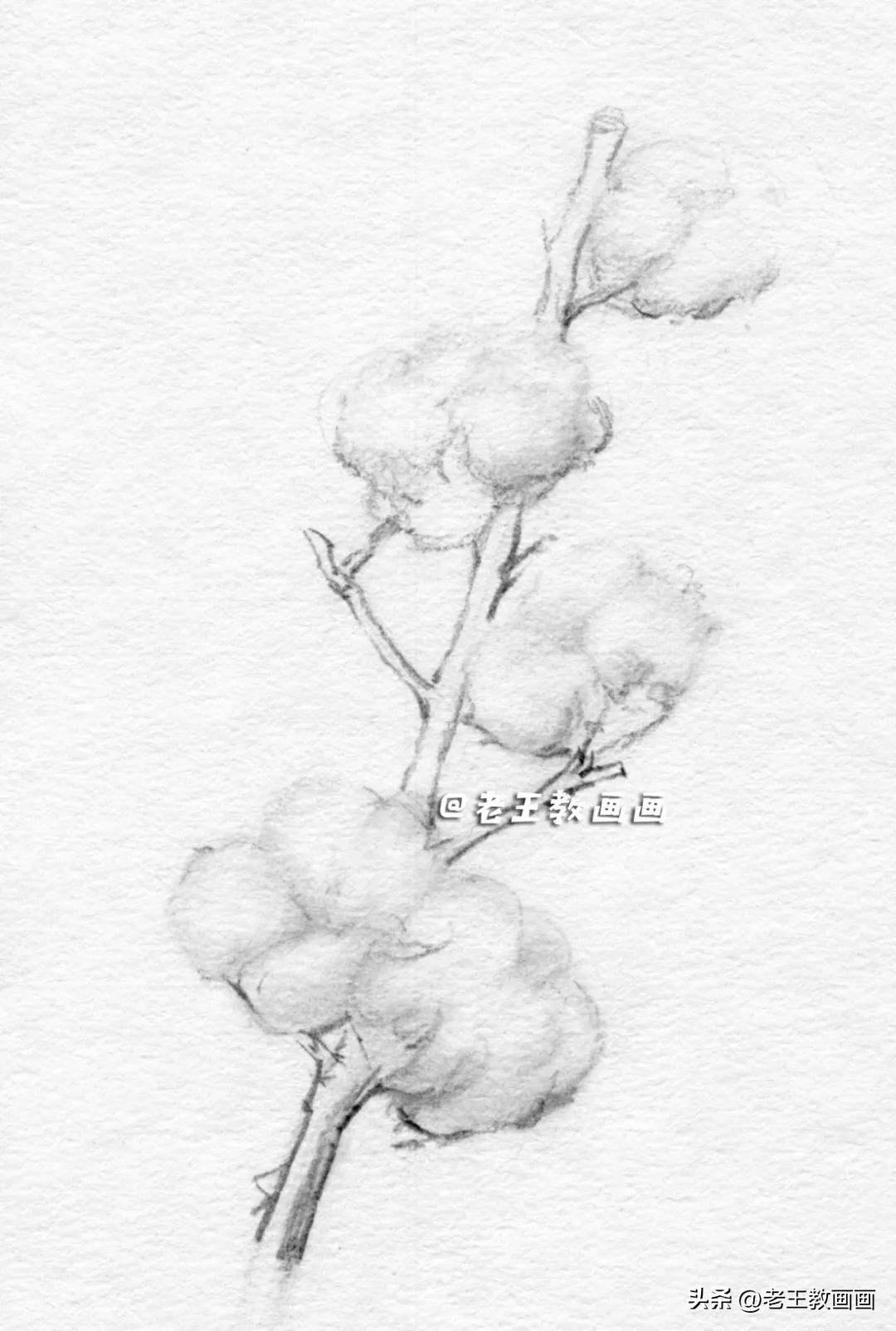 怎么画一个简单的棉花糖,苹果玉米棉花怎么画