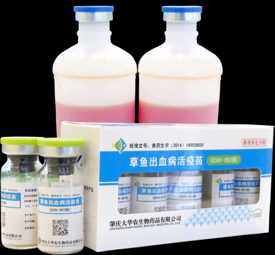 肇庆强盛,广东肇庆的经济发展潜力