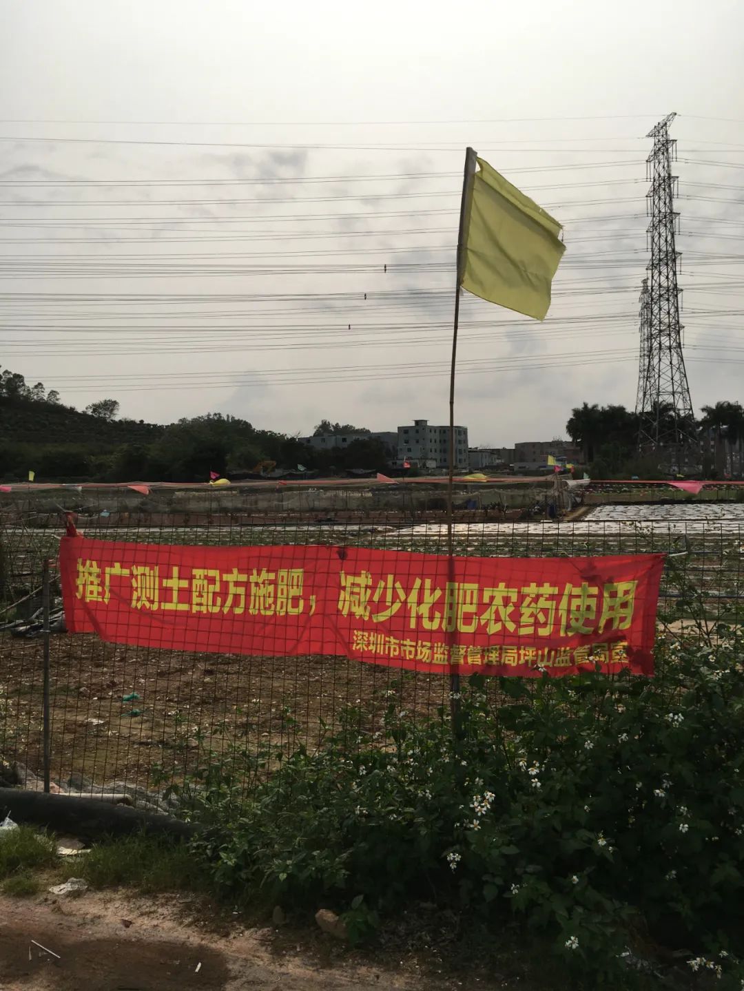 旭光车行雅迪电动车,旭光单车