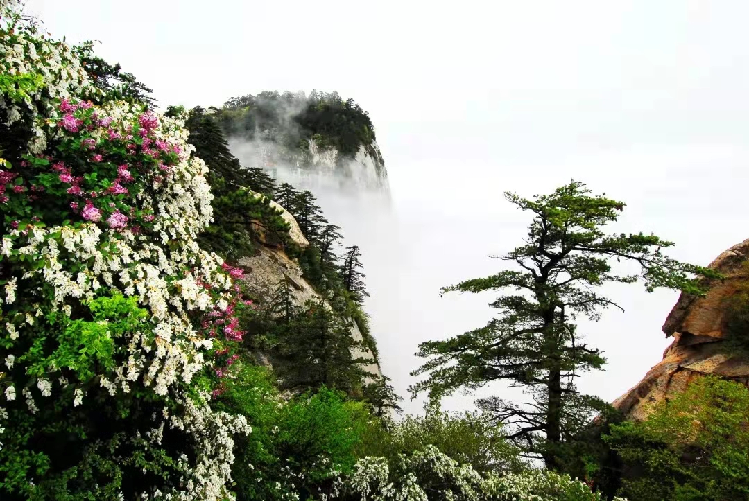 华山攻略北上西下得多长时间,徒步北上西下华山需要走多久