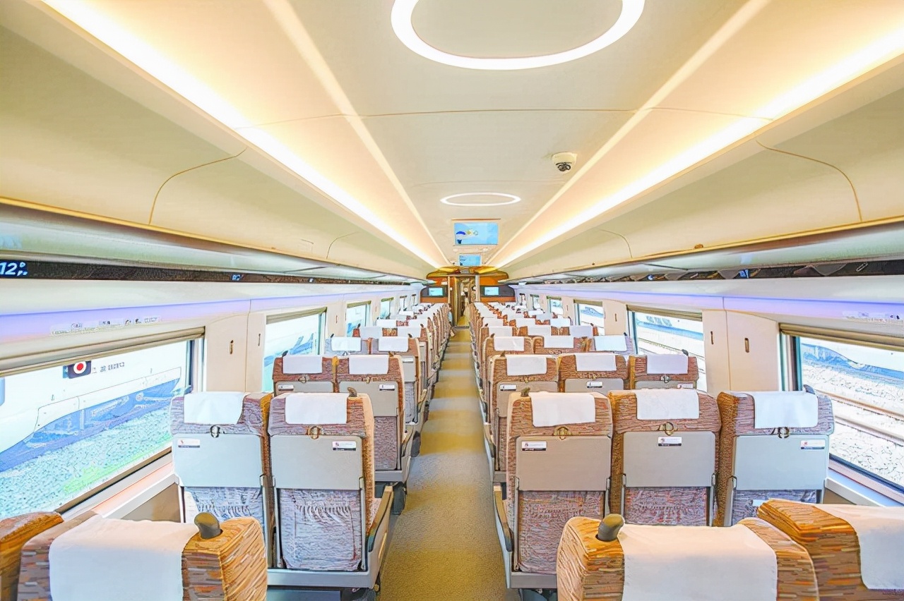 中国竹子建高铁车厢,竹子造高铁是真的吗