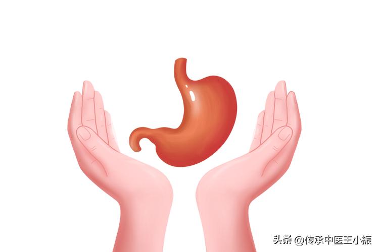 吃附子理中汤排寒反应,脾胃虚寒为什么喝冷水感觉不舒服