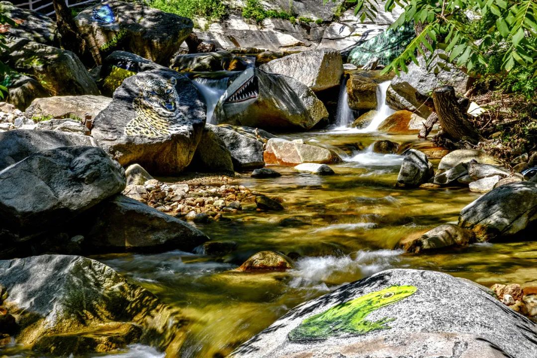 密云黑龙潭风景区开园啦，去赏最美6月天！