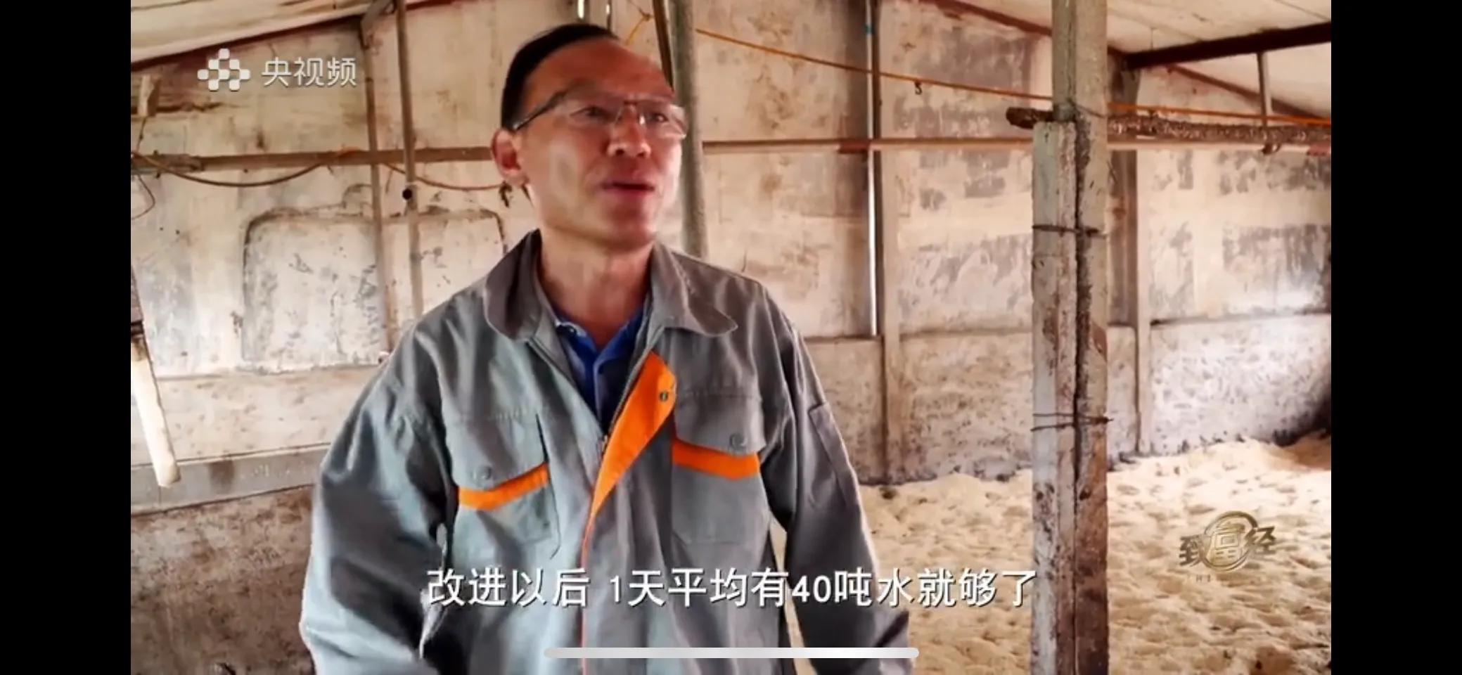 小伙子养猪5年后挣钱5多亿,农村小伙养猪赚过亿