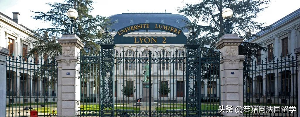 笨猪法语中文,笨猪法语