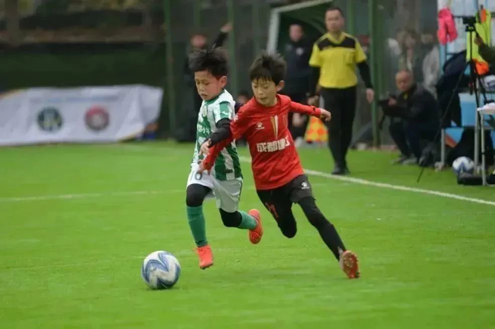 绿茵小将比赛视频,绿茵小将