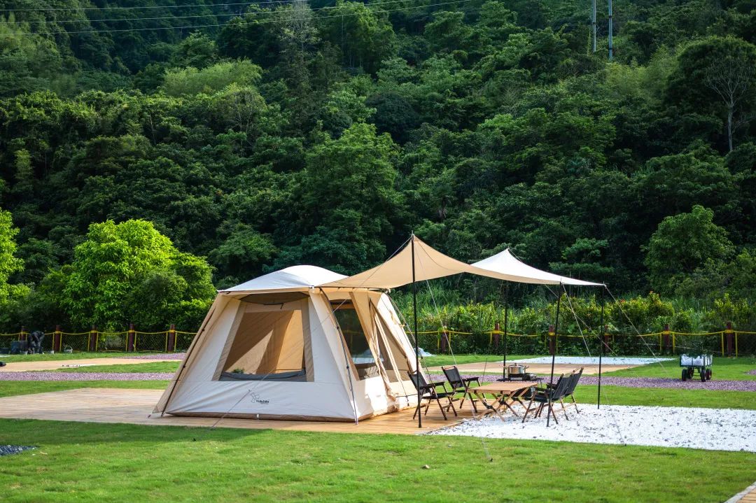 闽山闽水物华新,闽山闽水物华新在师生中引热议