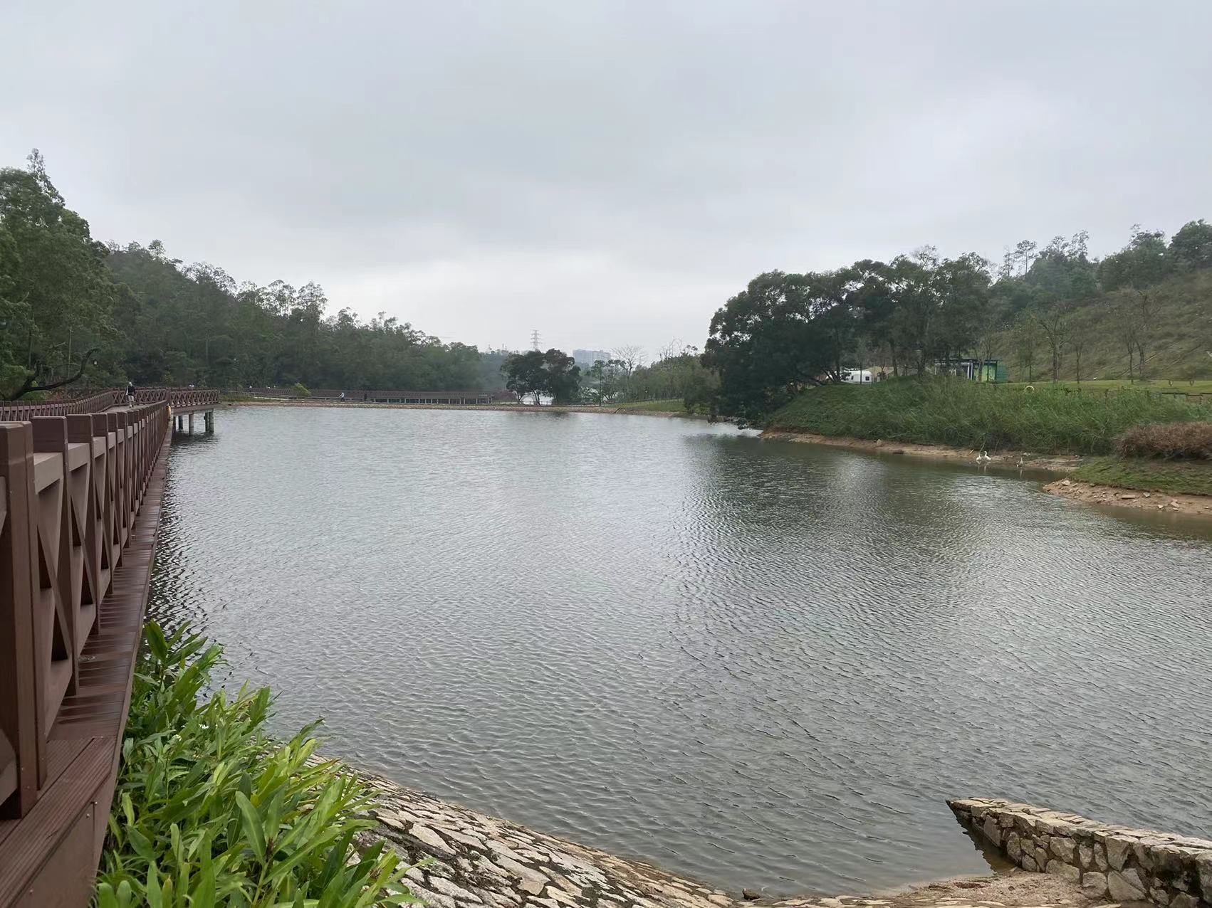 珠海人气最旺的公园,珠海市人爱去的公园推荐