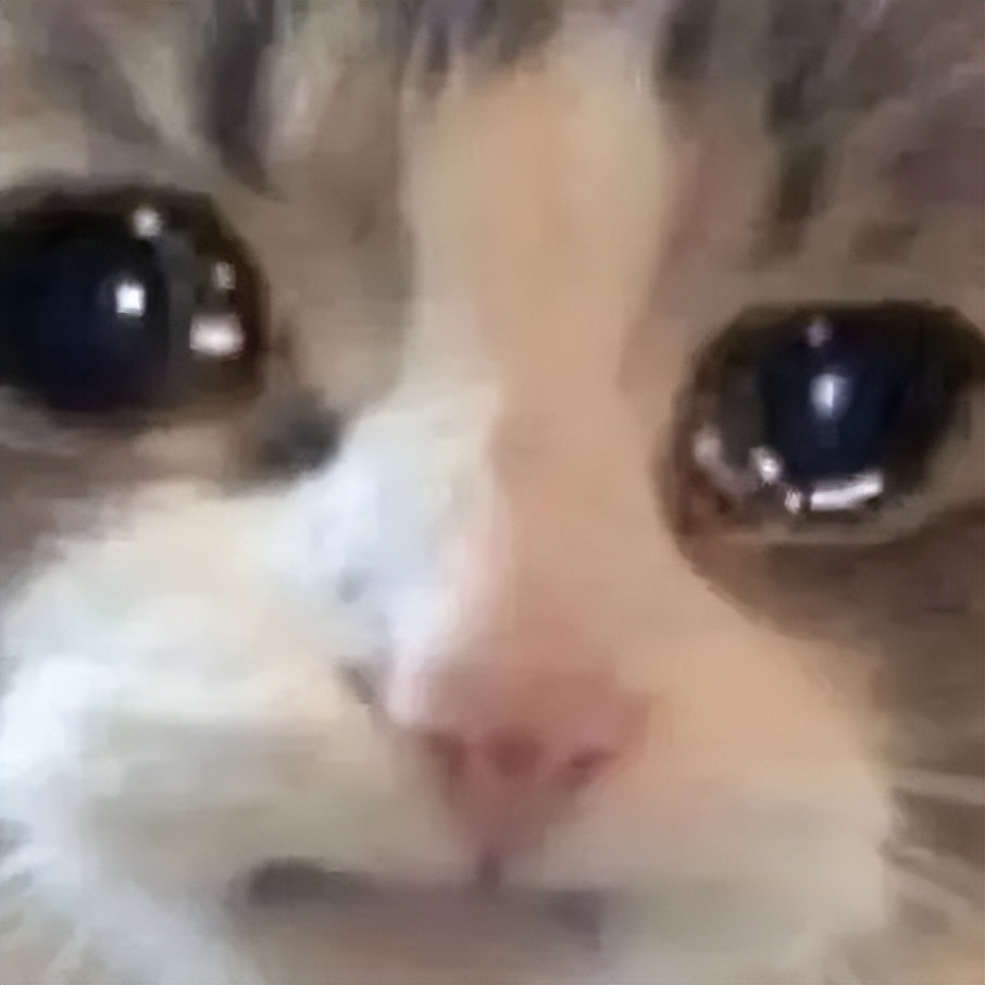 高校专项入围了怎么填志愿,填报志愿深圳高校等你来