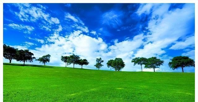 一女生被私密照威胁，聪明勇敢的做法，竟逼得对方连连道歉