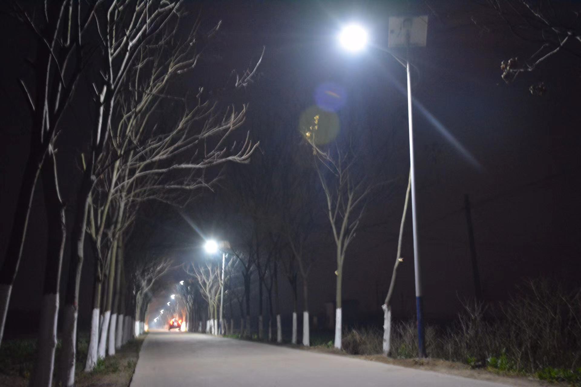 怎样选太阳能路灯图片及价格,太阳能路灯价格多少钱一台