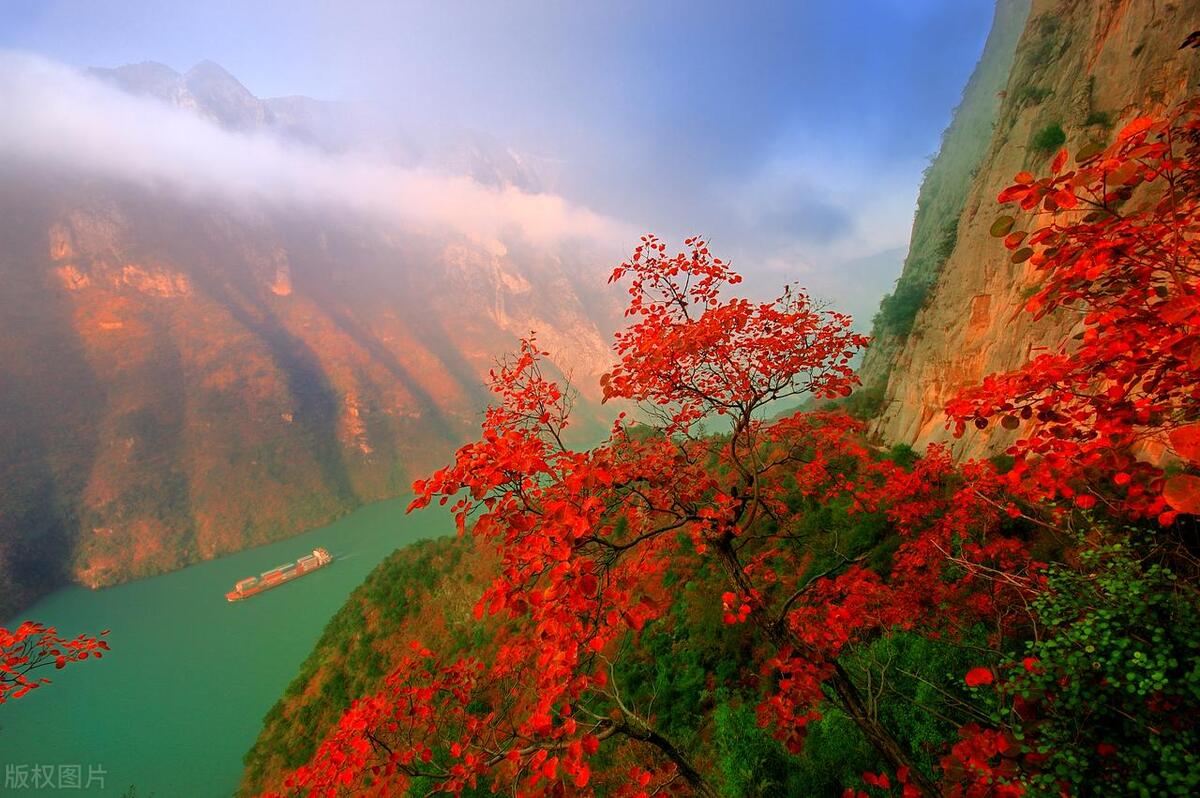 被人算计了最聪明的做法不是翻脸,如果自己被别人算计了该怎样反击