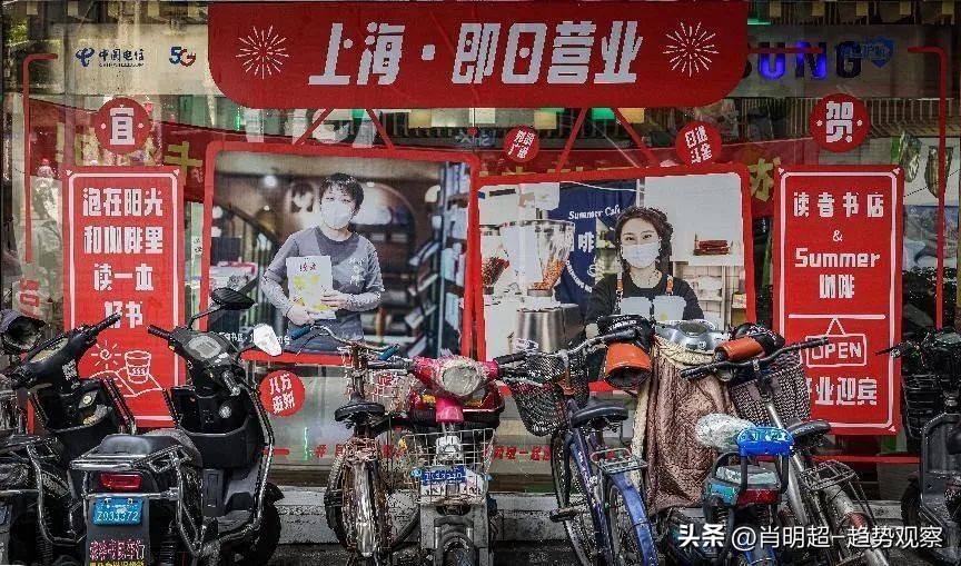 2019金鼠标营销,金鼠标网络营销案例