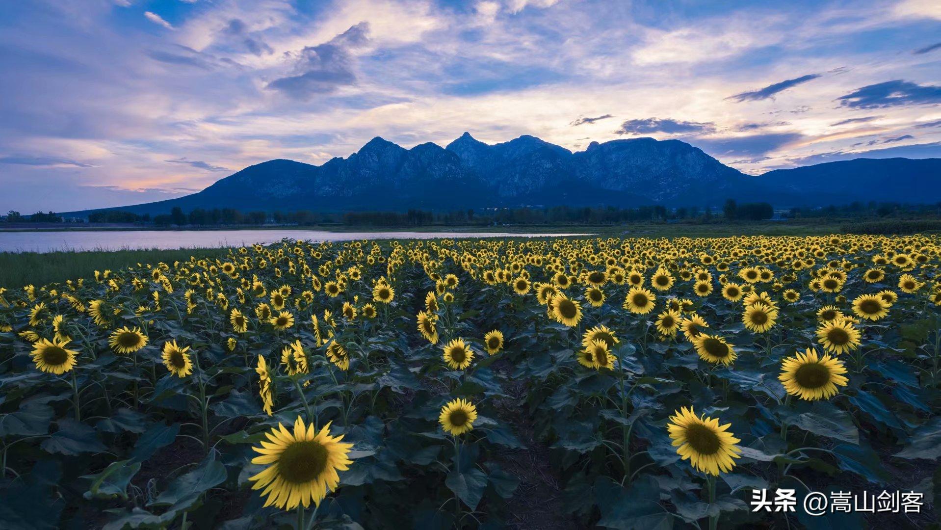 嵩山迎仙阁的传说,登封市嵩山迎仙阁