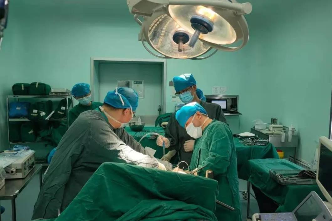 卫生间小飞虫蛾蚋的危害,卫生间小飞虫有多可怕