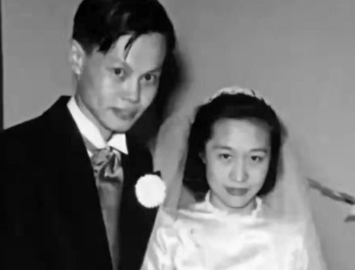 杨振宁催促翁帆冻卵子,杨振宁同意翁帆改嫁了吗